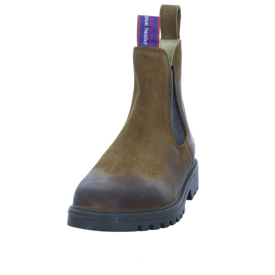 Blue on sale heelers schuhe