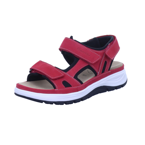 Holly red von Ganter