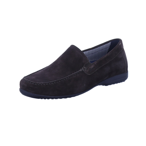 Giumelo-700-H bear von Sioux