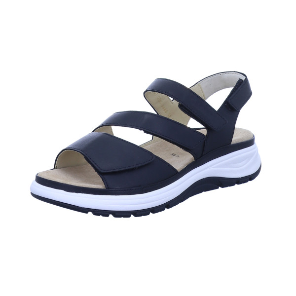 Holly schwarz von Ganter