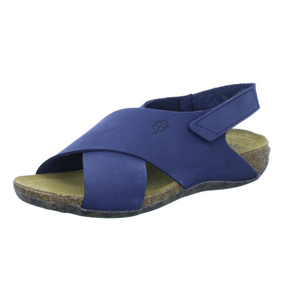 Veenhof blue von Loints
