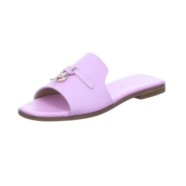 Molly rosa von Mosaic